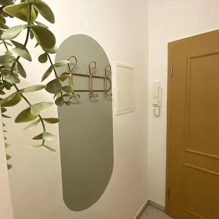 Apartment K2-project - Dschungel-abenteuer