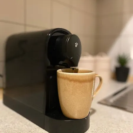 K2-project - Dschungel-abenteuer