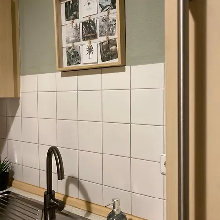 K2-project - Dschungel-abenteuer * 开姆尼茨