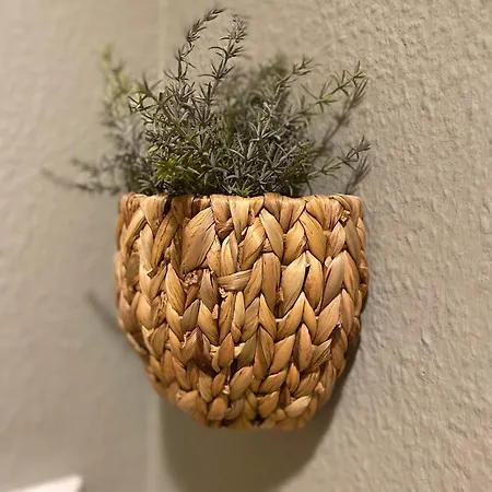 Apartment K2-project - Dschungel-abenteuer