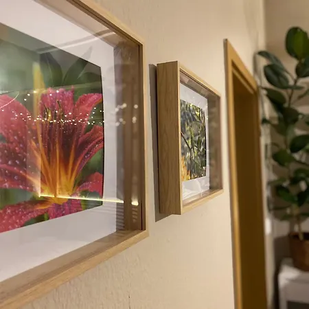 K2-project - Dschungel-abenteuer Apartment