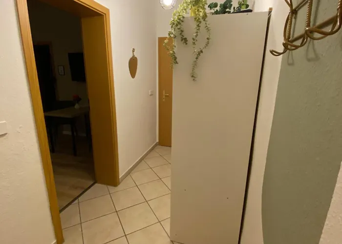 K2-project - Dschungel-abenteuer *