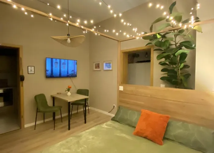 K2-project - Dschungel-abenteuer Apartment Chemnitz