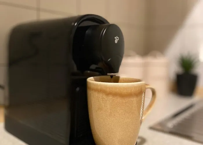 K2-project - Dschungel-abenteuer