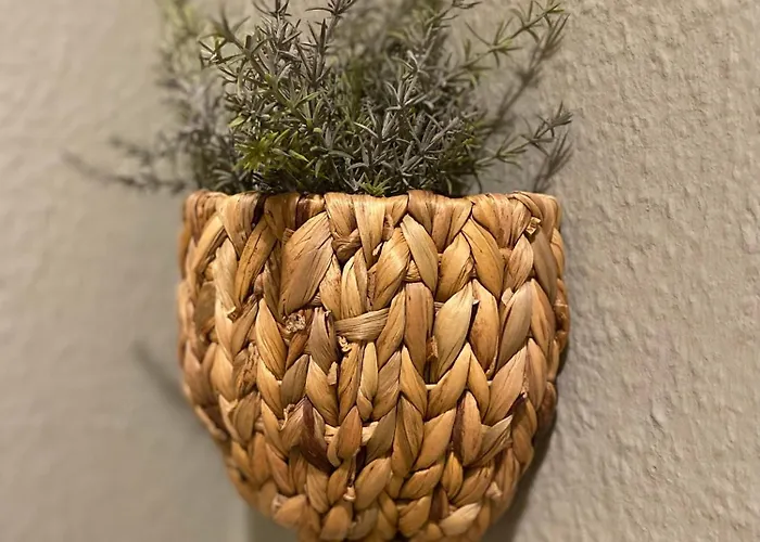 Apartment K2-project - Dschungel-abenteuer