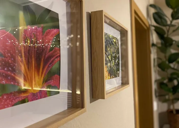 K2-project - Dschungel-abenteuer Lägenhet